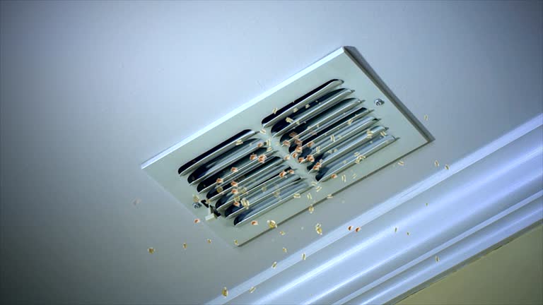 Best Emergency Air Duct Cleaning  in Douglasville, GA